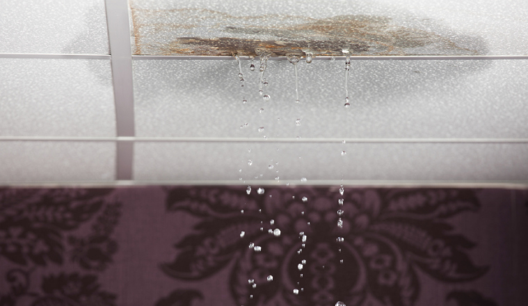 Dampness and Leaks in Basements & Superstructures