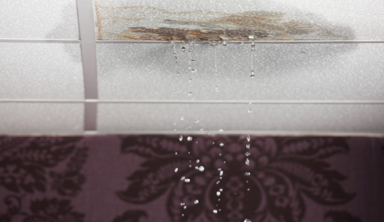 Dampness and Leaks in Basements & Superstructures